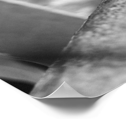 B&W - Weaver Ant on a Wood ポスター (角)