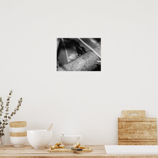 B&W - Weaver Ant on a Wood ポスター (キッチン)