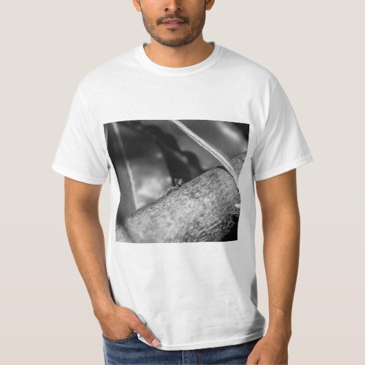 B&W - Weaver Ant on a Wood Tシャツ (正面)