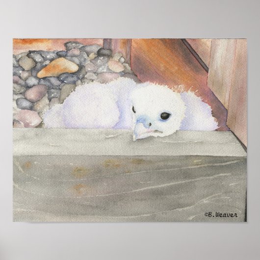 B.Weaver Orionデザイン14インチx 11インチポスター ポスター (正面)