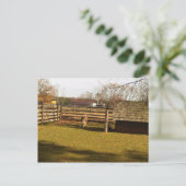 Baaa! ポストカード (スタンド正面)