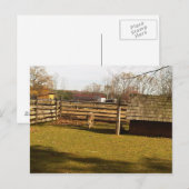 Baaa! ポストカード (正面/裏面)