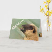 BAAAAAA羊が元気になる カード (黄色い花)