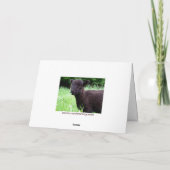 BaaBaaの厄介もののメッセージカード カード (裏面)