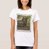 babirusa-4.jpg tシャツ (正面)