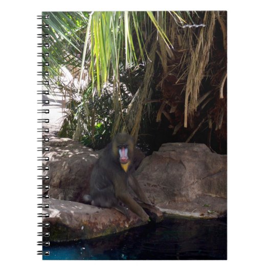 Baboon In Paradise,ノート ノートブック (正面)