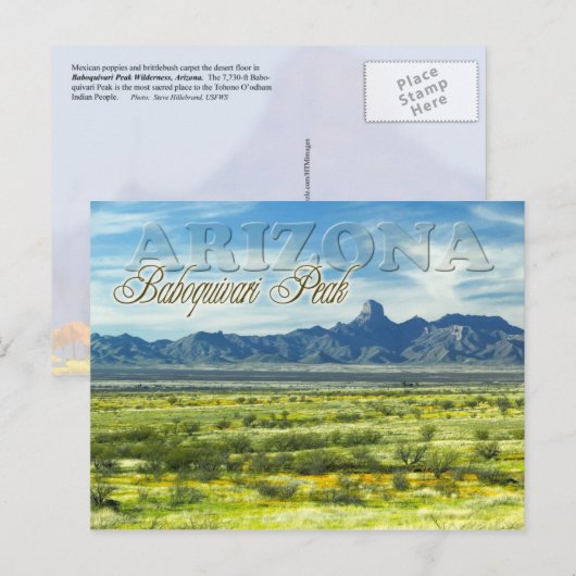 Baboquivari Peak Wilderness （アリゾナ） ポストカード (正面/裏面)