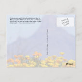 Baboquivari Peak Wilderness （アリゾナ） ポストカード (裏面)