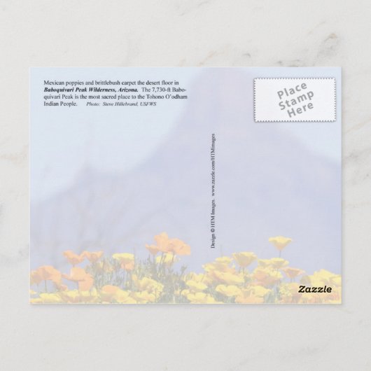 Baboquivari Peak Wilderness （アリゾナ） ポストカード (裏面)