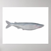 Baboso ポスター (正面)