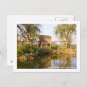 Babsfonteinの近く、南アフリカ共和国 ポストカード (正面/裏面)