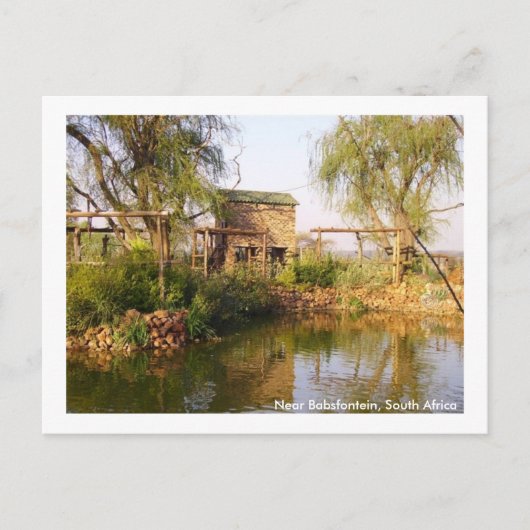 Babsfonteinの近く、南アフリカ共和国 ポストカード (正面)