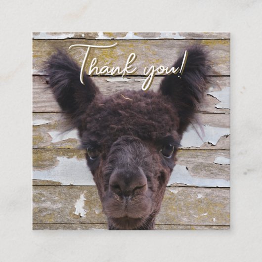 Baby Alpaca Customer Thank You Discount スクエア名刺 (正面)