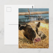 Baby Announcement Postcard ポストカード (正面/裏面)