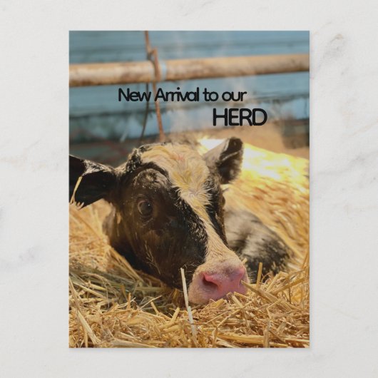 Baby Announcement Postcard ポストカード (正面)