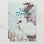 Baby bird シーズンカード (正面/裏面)