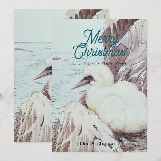 Baby bird シーズンカード (正面/裏面)