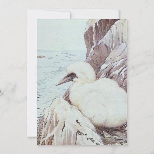 Baby bird シーズンカード (裏面)