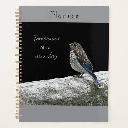 Baby Bird Planner プランナー手帳 (正面)
