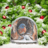 Baby Bluebird in the winter (クリスマス)