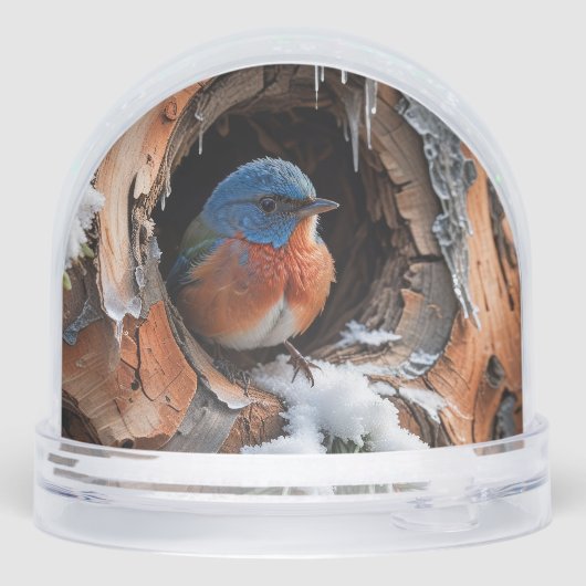 Baby Bluebird in the winter (裏面)