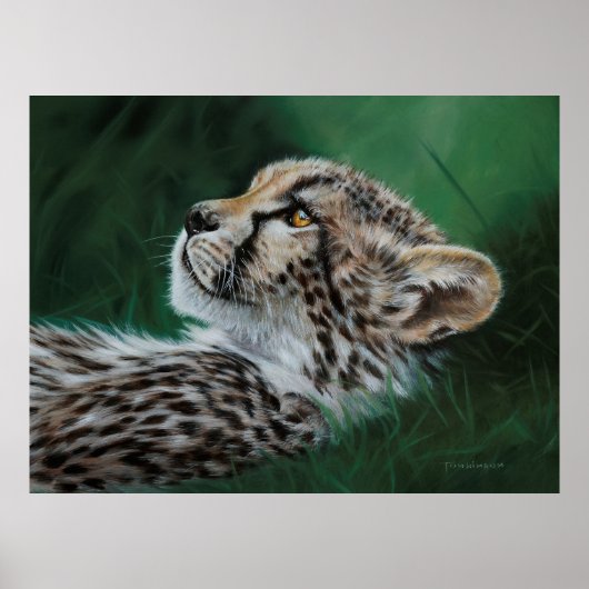 BABY CHEETAH FINE ART PRINT ポスター (正面)