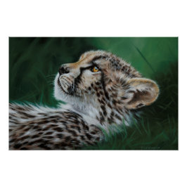 Baby Cheetah Fine Art Print 71x47cm ポスター