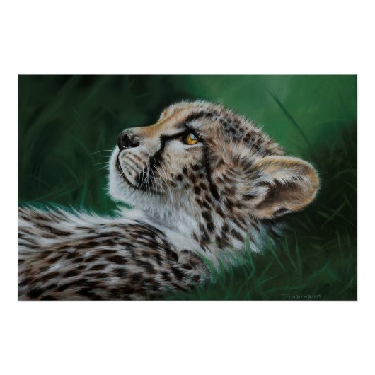 Baby Cheetah Fine Art Print 71x47cm ポスター (正面)