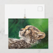Baby Cheetah postcard ポストカード (正面/裏面)