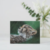 Baby Cheetah Postcard Set 10 ポストカード (スタンド正面)
