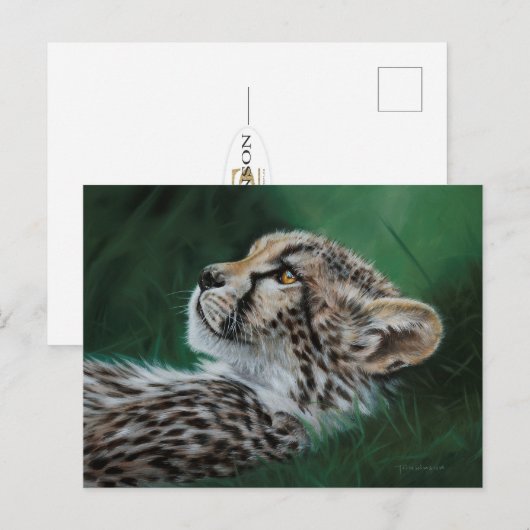 Baby Cheetah Postcard Set 10 ポストカード (正面/裏面)