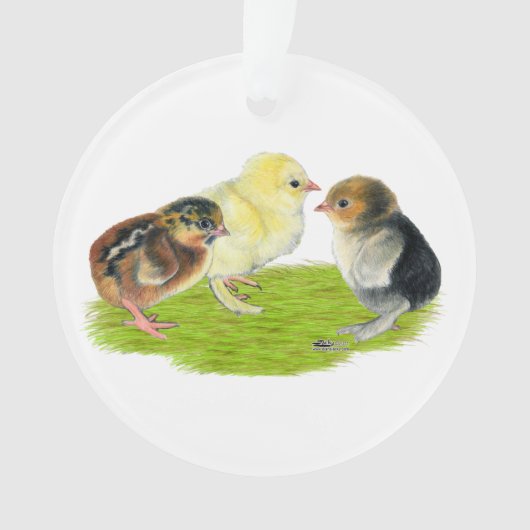 Baby Chick Trio オーナメント (正面)