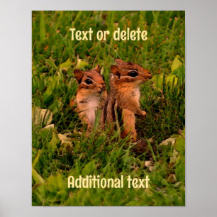 Baby Chipmunks Animal Art Personalized ポスター