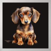 Baby Dachshund ポスター (正面)