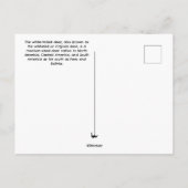 Baby Deer Postcard ポストカード (裏面)