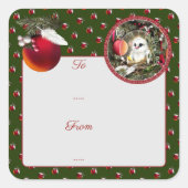 Baby Dove スクエアシール (正面)