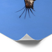 Baby eagle! ポスター (角)