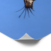 Baby Eagle of South Jersey! ポスター (角)