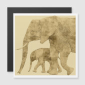 Baby Elephant with it's Mother (正面/裏面)