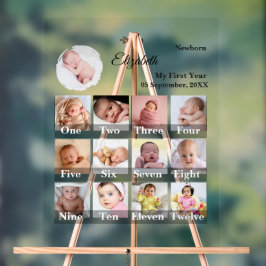 Baby First Year 12 Month Photo Collage  Milestone アクリルサイン