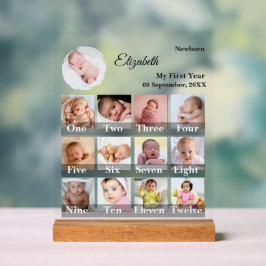 Baby First Year 12 Month Photo Collage  Milestone アクリルサイン