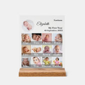 Baby First Year 12 Month Photo Collage Milestone アクリルサイン (正面)