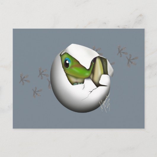 Baby Gecko in Egg  ポストカード (正面)