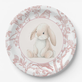 Baby Girl First Birthday Party Paper Plates ペーパープレート