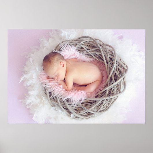 Baby Girl in Her Nest ポスター (正面)