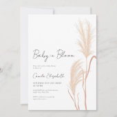 Baby in Bloom Pampas Grass Baby Shower 招待状 (正面)