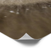 Baby Japanese Macaque | Snow Monkey ポスター (角)