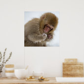 Baby Japanese Macaque | Snow Monkey ポスター (キッチン)