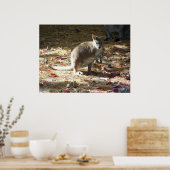 baby kangaroo ポスター (キッチン)