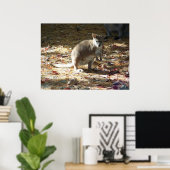 baby kangaroo ポスター (ホームオフィス)